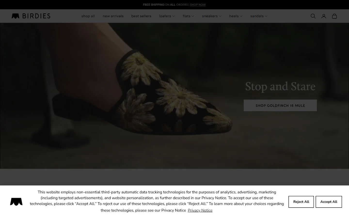 Birdies public homepage preview